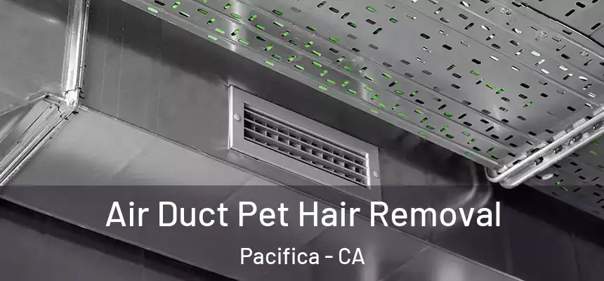 Air Duct Pet Hair Removal Pacifica - CA