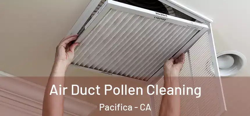 Air Duct Pollen Cleaning Pacifica - CA