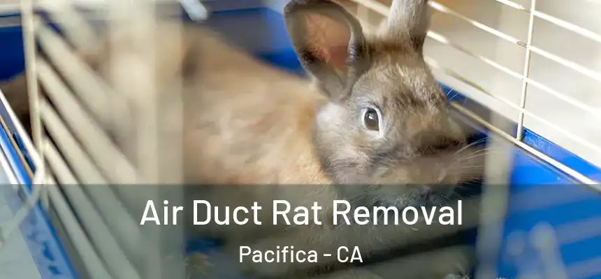  Air Duct Rat Removal Pacifica - CA