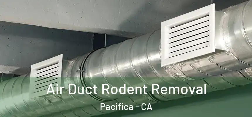 Air Duct Rodent Removal Pacifica - CA