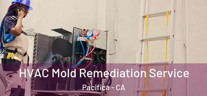 HVAC Mold Remediation Service Pacifica - CA