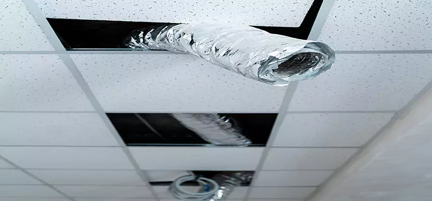 Our Air Duct Pet Hair Removal Services in Pacifica, CA