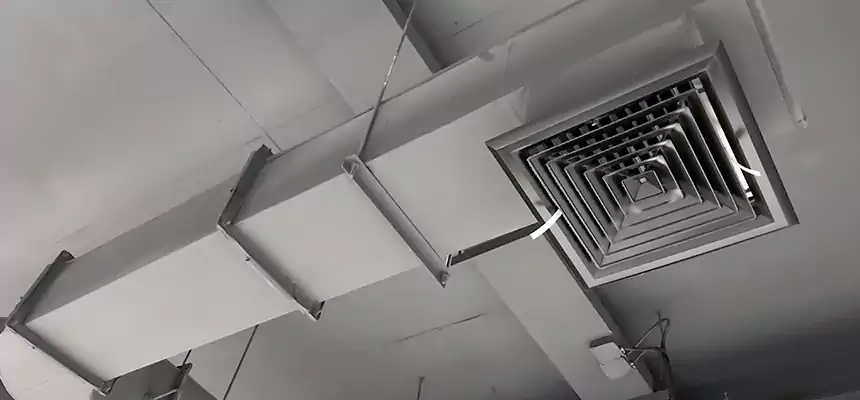 Our Pest Removal From Ducts Services in Pacifica, CA