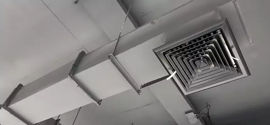 Our Rodent Droppings In Vents Services in Pacifica, CA