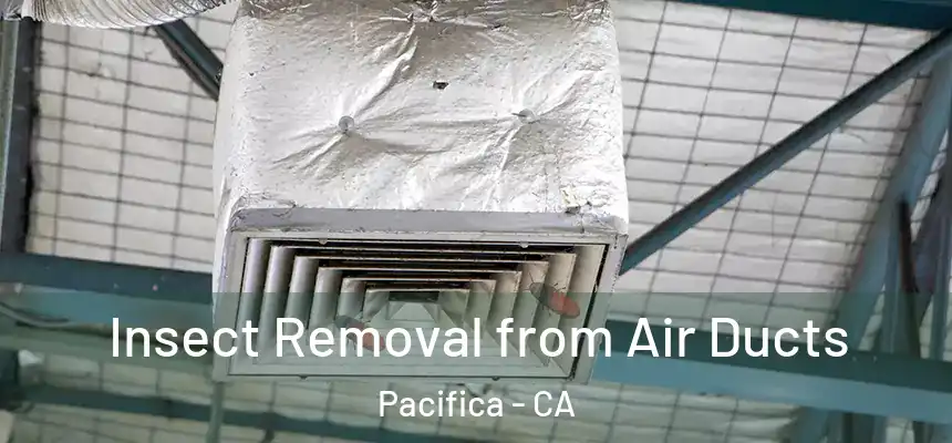 Insect Removal from Air Ducts Pacifica - CA