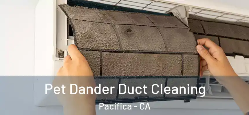 Pet Dander Duct Cleaning Pacifica - CA