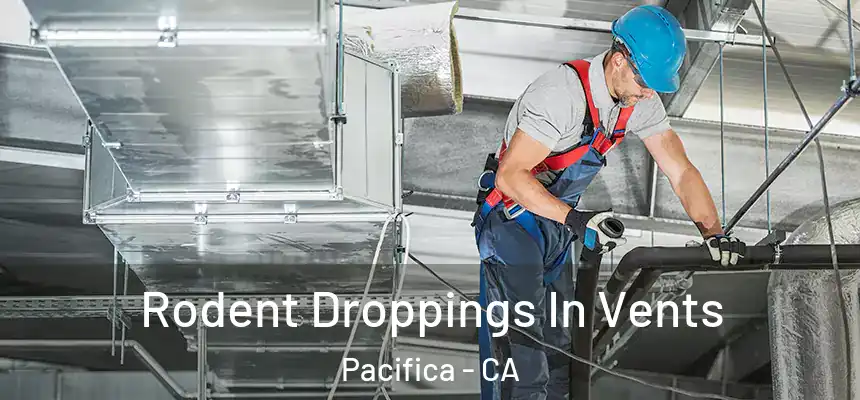 Rodent Droppings In Vents Pacifica - CA