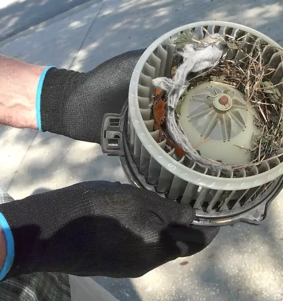 About Air Duct Rat Removal in Pacifica, CA