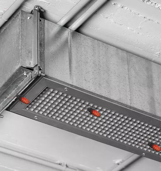 Affordable Insect Removal from Air Ducts in Pacifica, CA