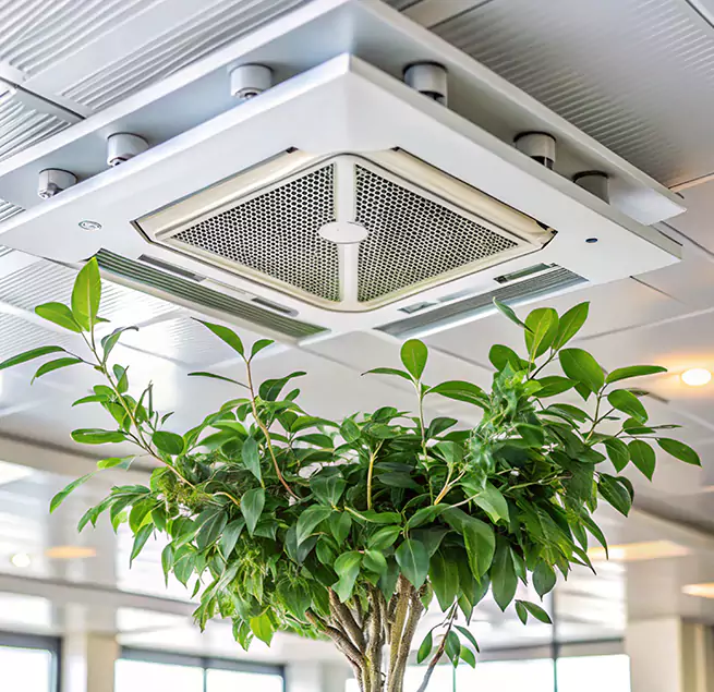 Why Homeowners & Businesses Trust Us in Pacifica, CA?